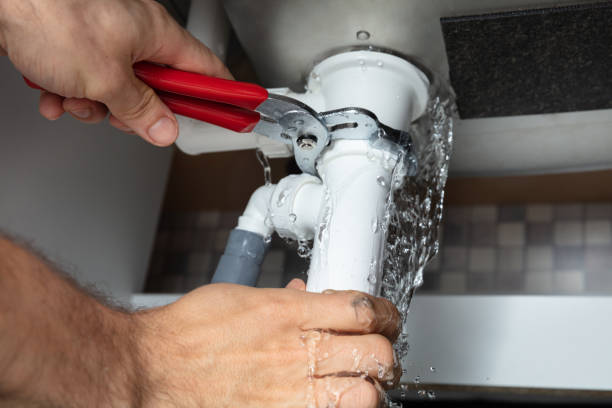 Best Local water damage restoration  in Marlette, MI