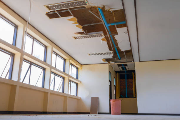 Best Flood damage cleanup  in Marlette, MI