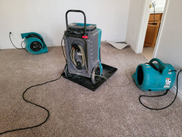 Carpet water damage restoration in Marlette, MI