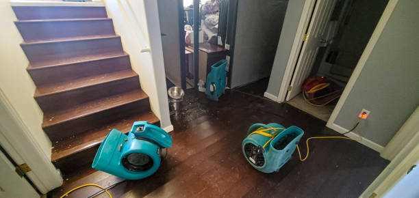 Best Mold removal after water damage  in Marlette, MI