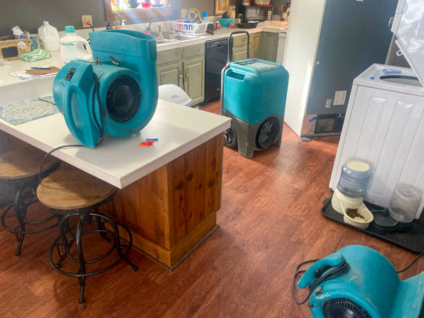 Best Water damage restoration near me  in Marlette, MI