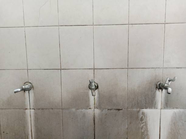 Best Flooded house restoration  in Marlette, MI