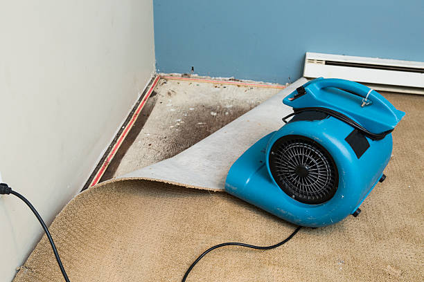 Best Fire Damage Restoration  in Marlette, MI